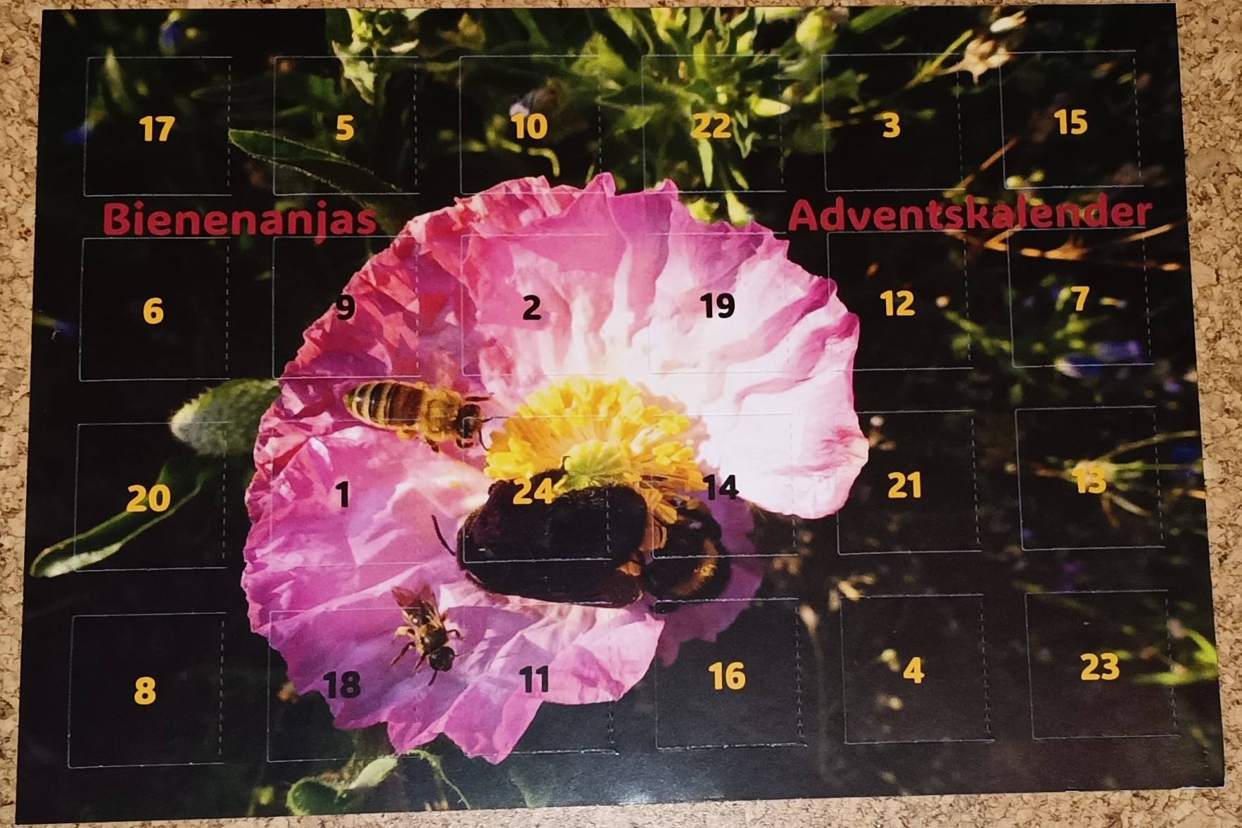 Bienenadventskalender